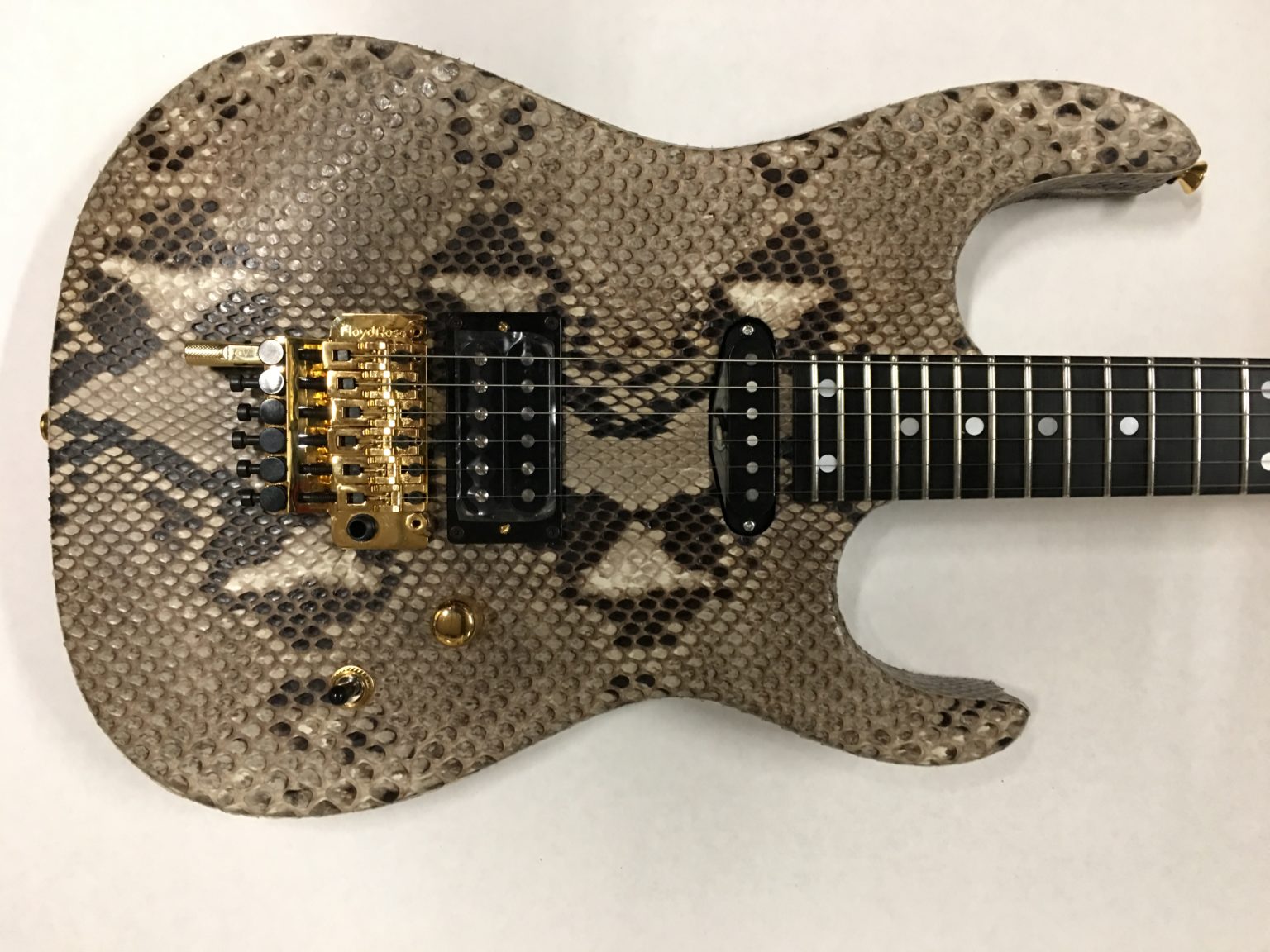 IMG_1759 Performance Guitar